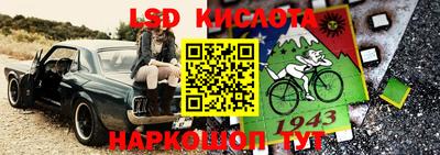 прущие грибы Гусиноозёрск