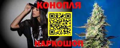 прущие грибы Гусиноозёрск