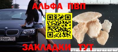 прущие грибы Гусиноозёрск