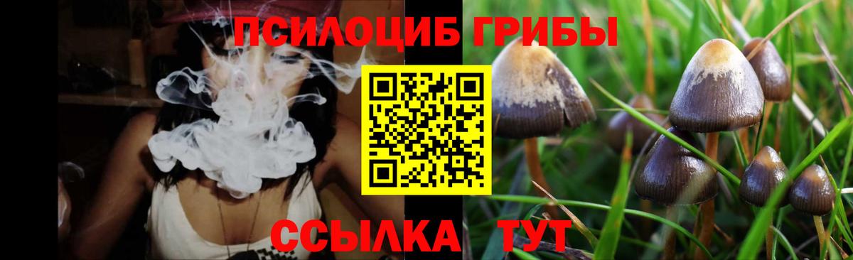 Назрань  Галлюциногенные грибы GOLDEN TEACHER  Вход с VPN  Псилоцибиновые грибы прущие грибы 